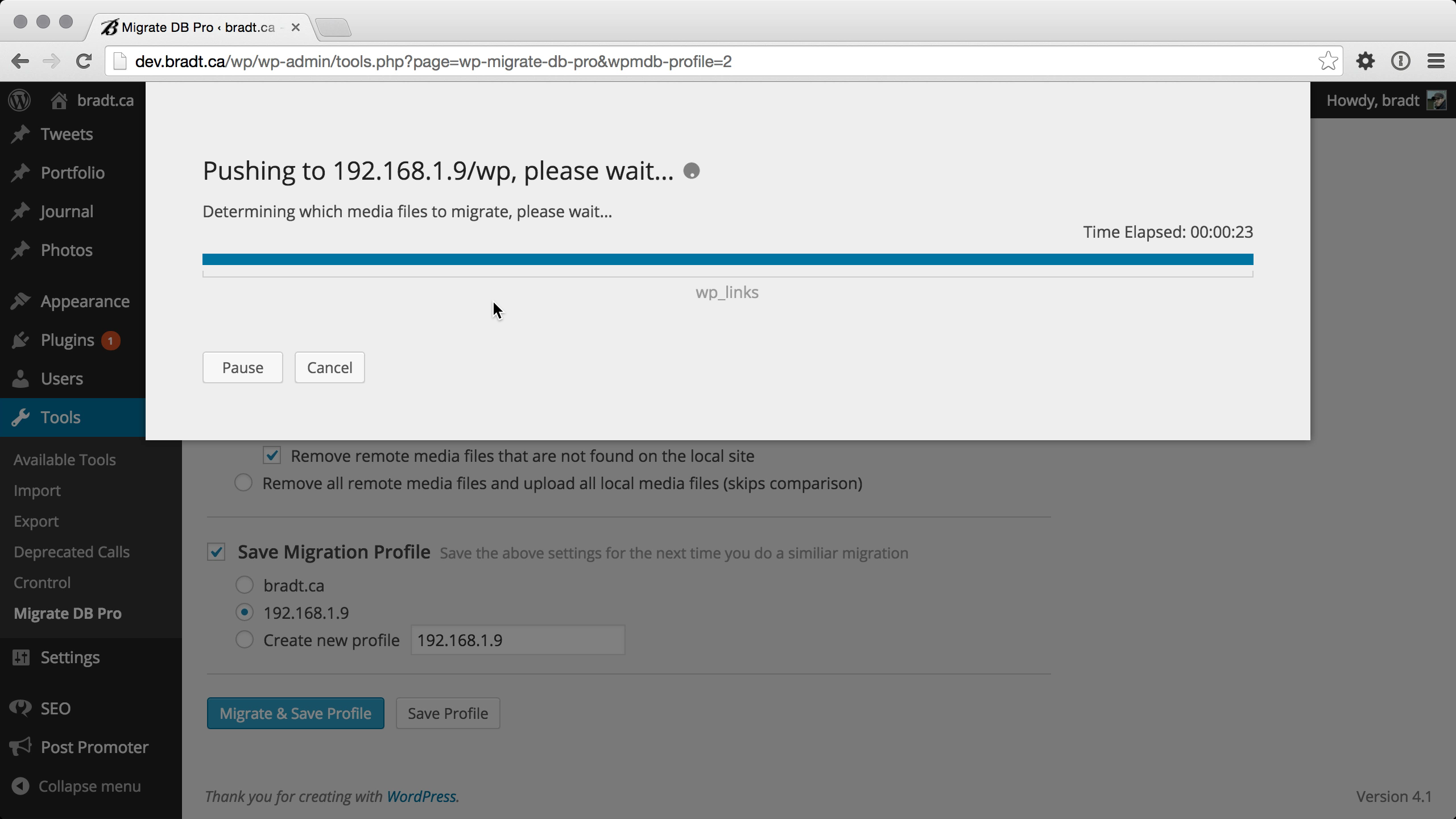 Database progress of a WP Migrate DB Pro push migration