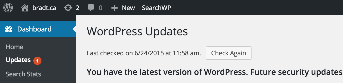 Updates page in the WordPress dashboard