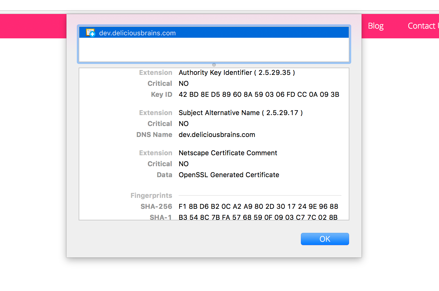 Using openssl to create keys for mac catalina