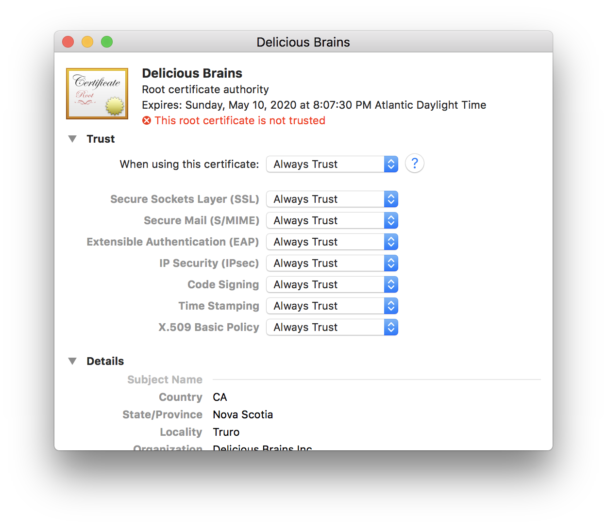 How To Create Your Own Ssl Certificate Authority For Local Https Development