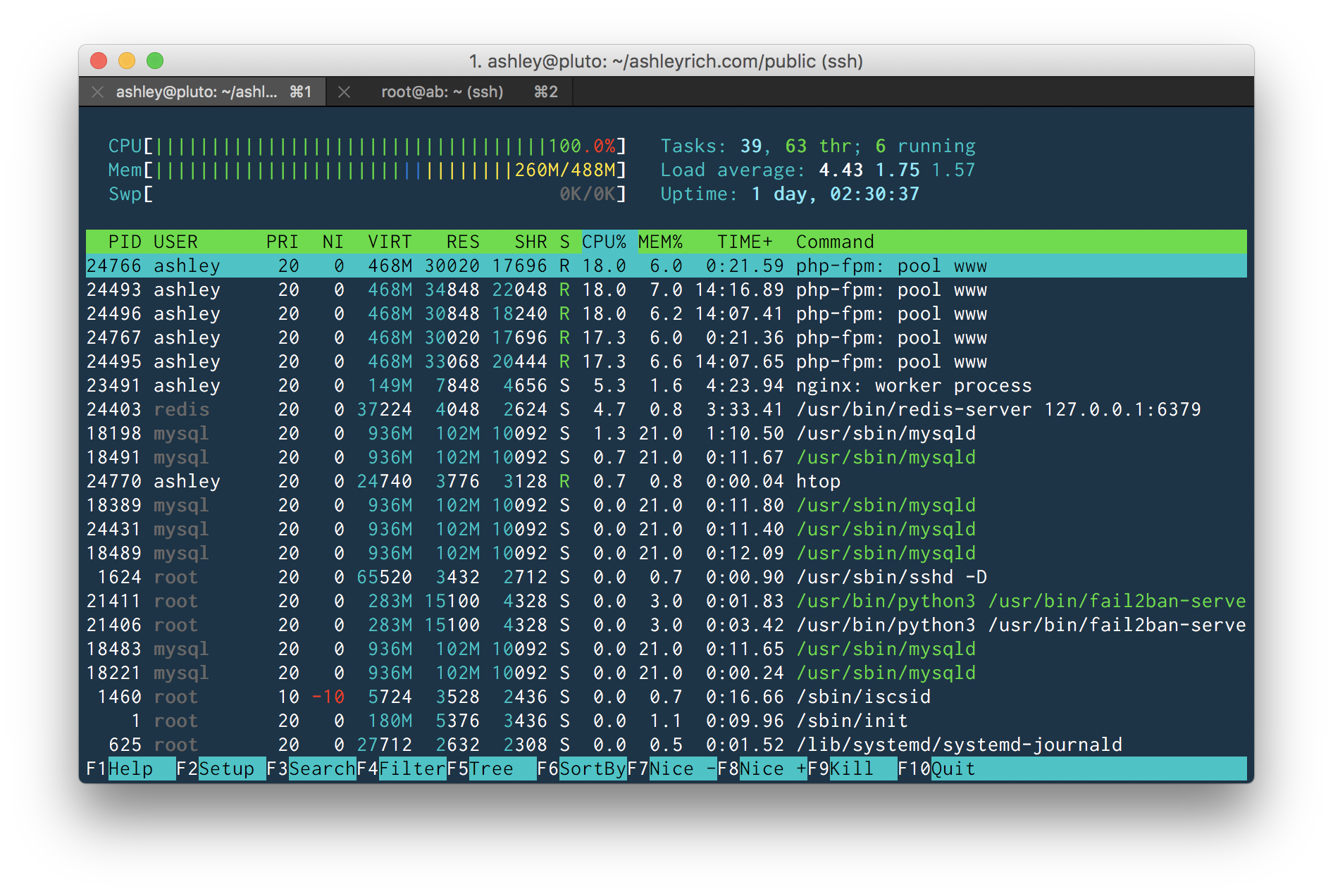 Hosting Wordpress Yourself At Scale Part 1 Dedicated Database Server Images, Photos, Reviews