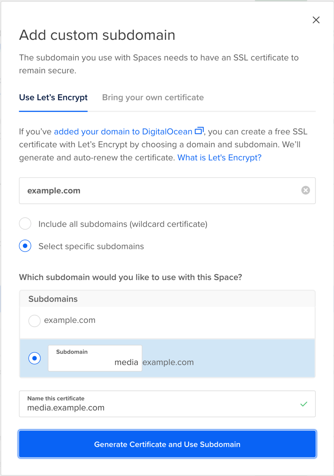 Entering custom domain name for Digital Ocean Spaces CDN - WP Offload Media