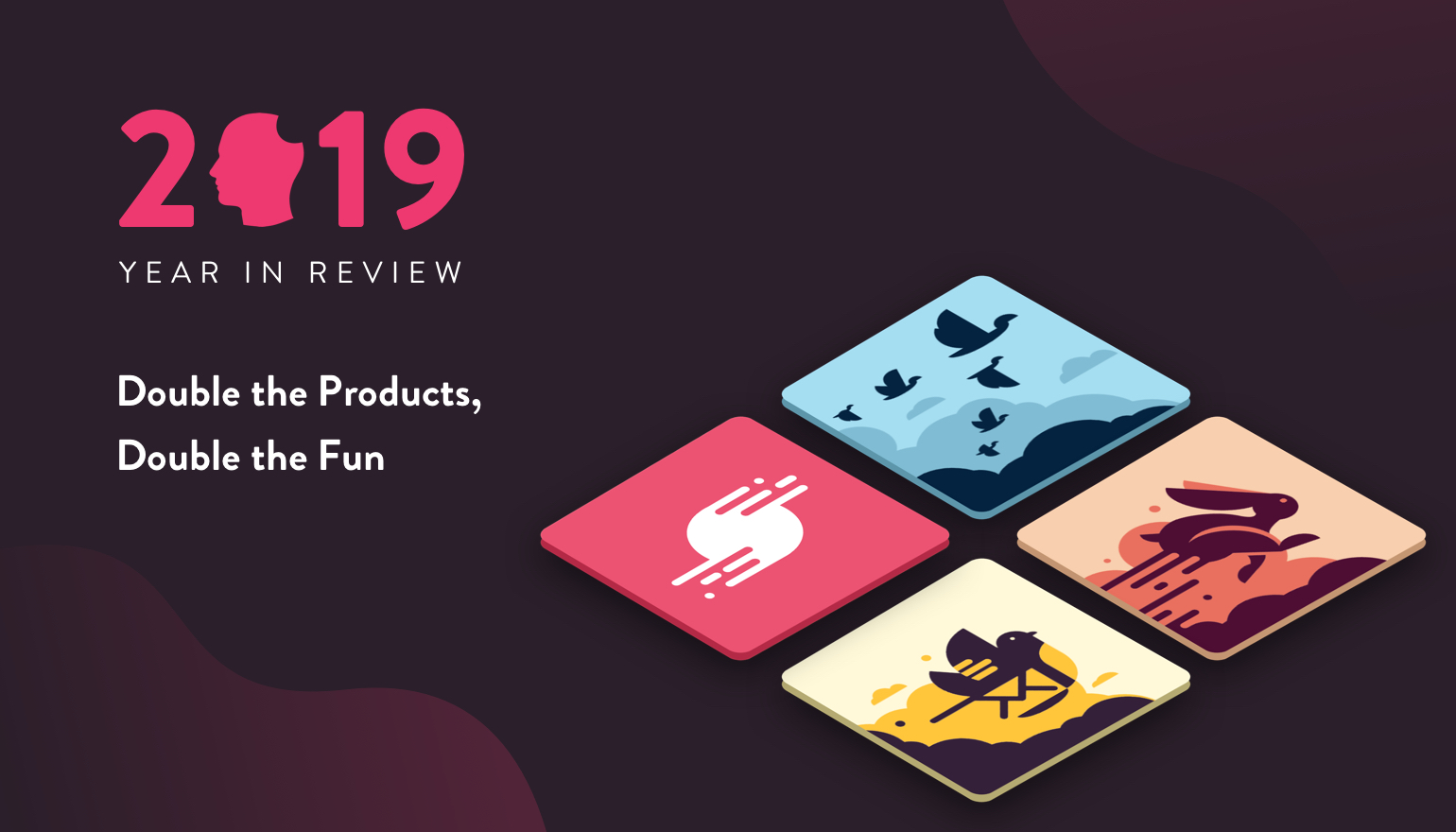 2019 Year in Review - Double the Products, Double the Fun