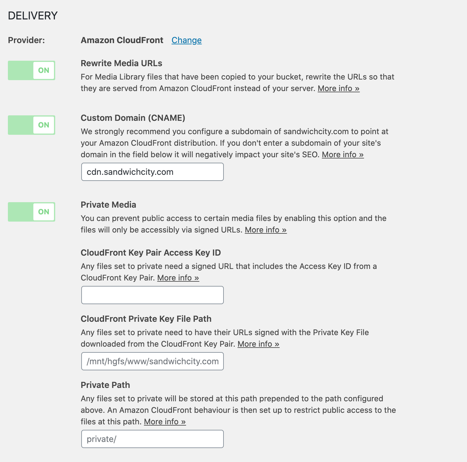 more Private Media settings revealed within Delivery Settings