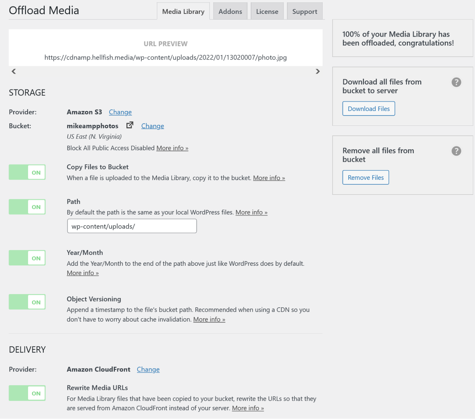 The settings screen of WP Offload Media.