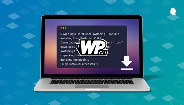 The Complete Guide to Installing WP-CLI | Delicious Brains