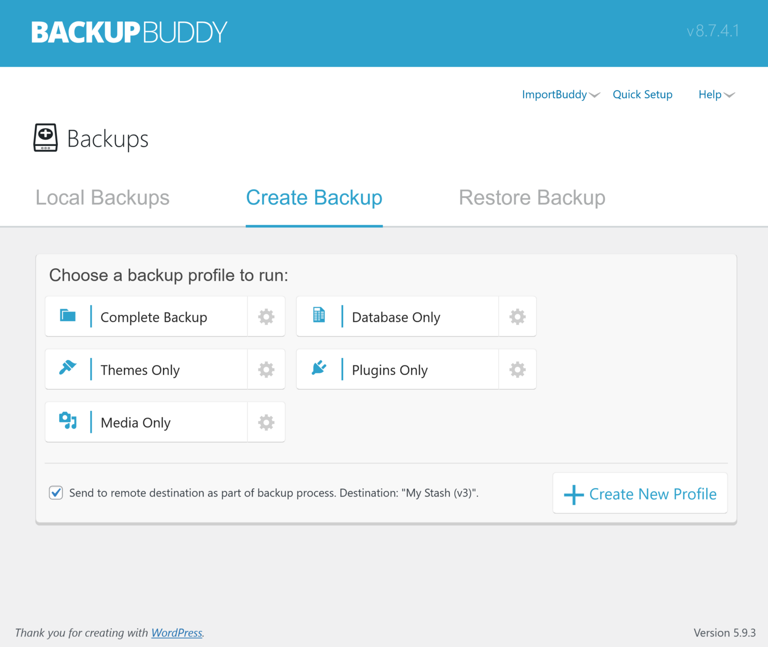 Preparing to run a manual backup with BackupBuddy.