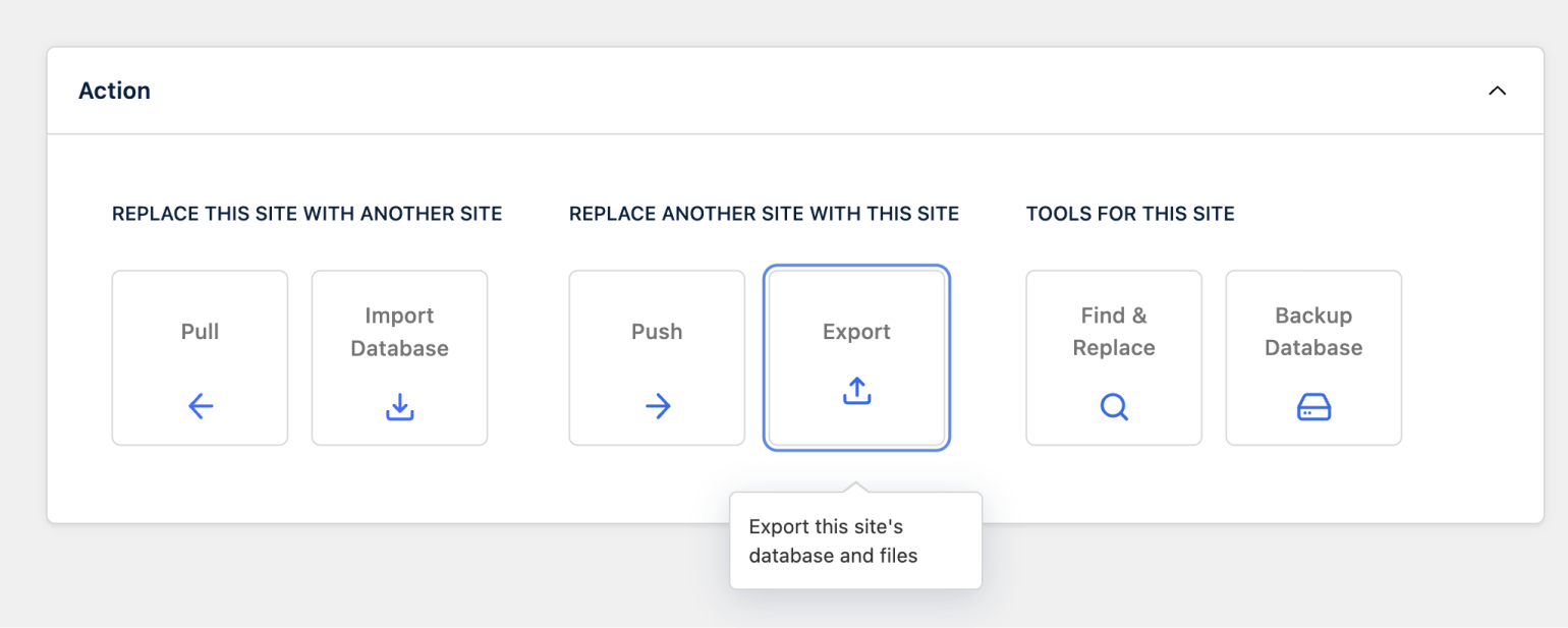 New full-site export action