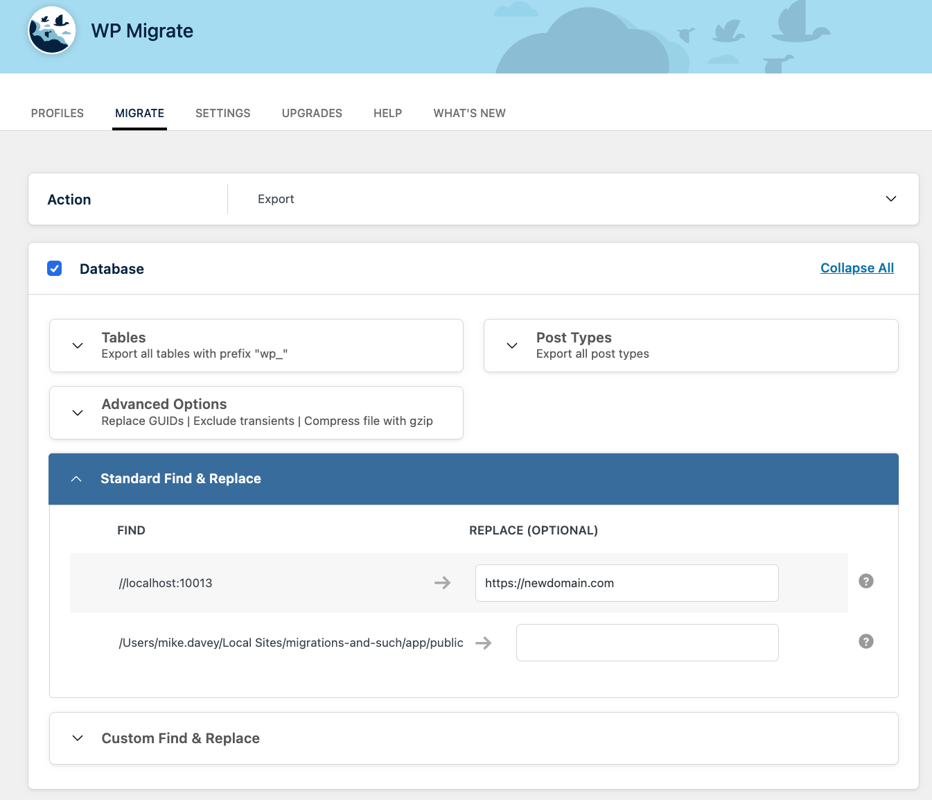Running a find and replace in WP Migrate Lite. 